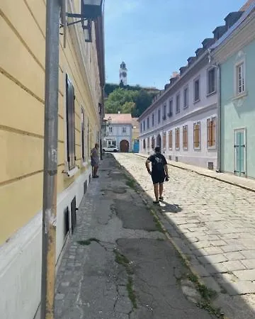 Zlatica Appartement *